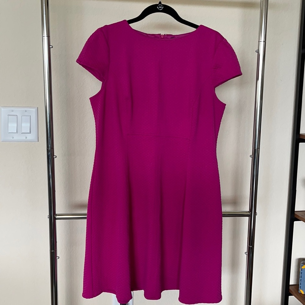 American Living sz 16